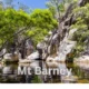 Mt Barney